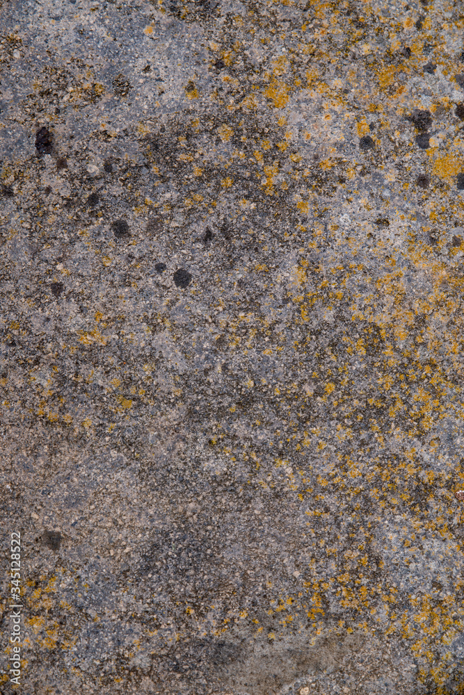 granite granite