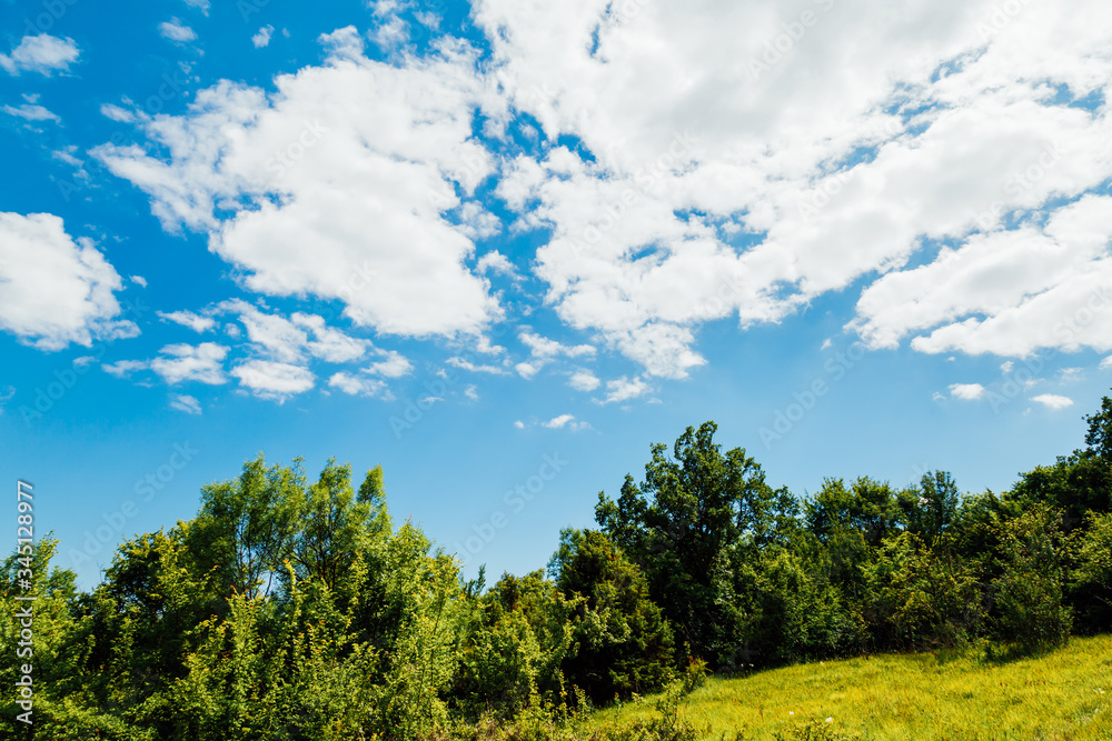 landscape of beautiful forest nature with fields and blue sky landscape of beautiful forest nature with fields and blue sky