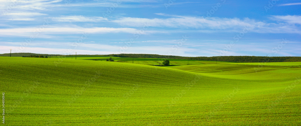 Panoramique tapis vallonné des campagnes de l'Yonne en Bourgogne-Franche-Comté, France