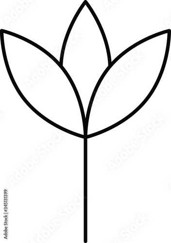 bloom