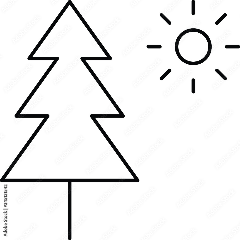 Fir Fir
