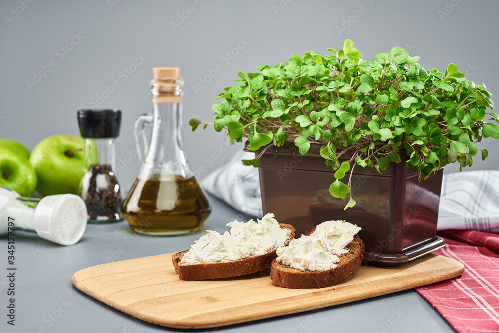 A young micro green broccoli in a plastic box and two sandwiches with cottage cheese on dark bread stand on the kitchen cutting Board. Greens grown at home. A young micro green broccoli in a plastic box and two sandwiches with cottage cheese on dark bread stand on the kitchen cutting Board. Greens grown at home.
