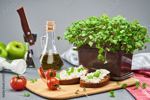 A young micro green broccoli in a plastic box and two sandwiches with cottage cheese and greens on dark bread stand on the kitchen cutting Board. Greens grown at home.