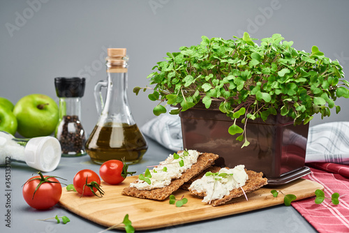 A young micro green broccoli in a plastic box and two sandwiches with cottage cheese and greens on diet loaves stand on the kitchen cutting Board. Greens grown at home.
