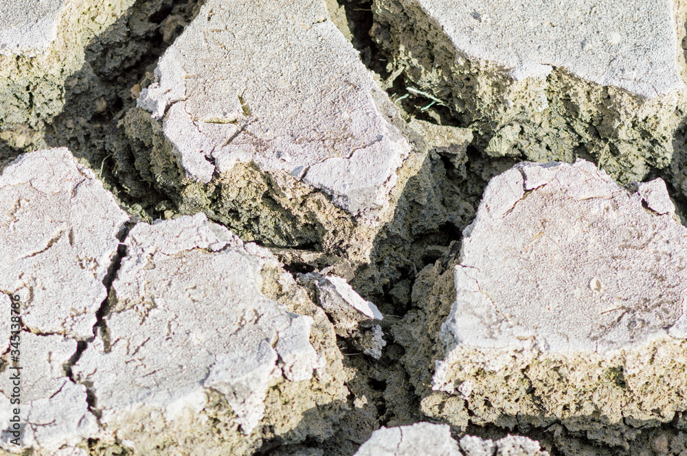 Dried reticulated earth Dried reticulated earth