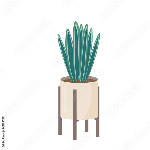 Indoor plant in a floor pot. Large long leaves, flat simple illustration.