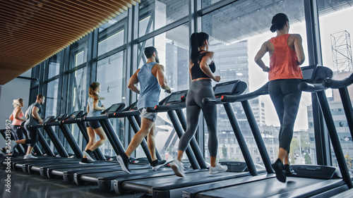 Group of Athletic People Running on Treadmills, Doing Fitness Exercise. Athletic and Muscular Women and Men Actively Workout in the Modern Gym. Sports People Workout in Fitness Club. Side View