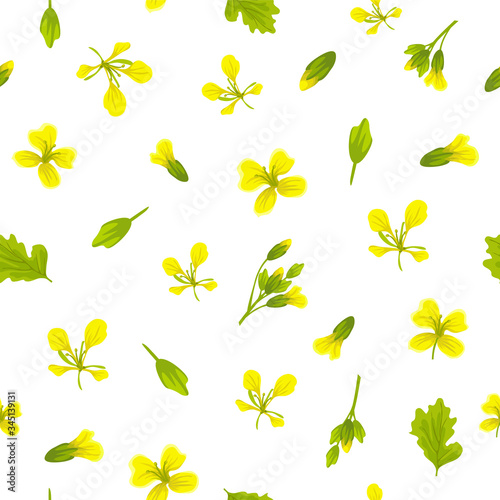 Seamless background of flower and leaves mustard. Vector illustration.