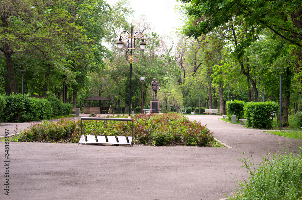 Fototapeta premium City park in spring, a beautiful park without people. In the city park quarantine, a zone without people. A play of light and shadow in the park.