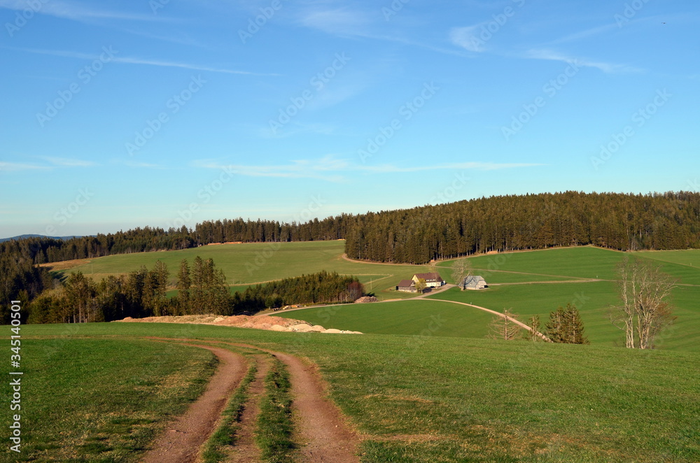 Wanderweg in Breitnau im Schwarzwald