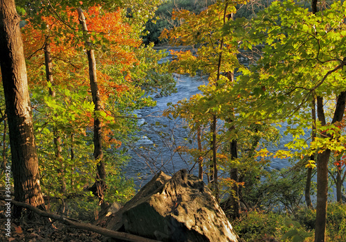 Autumn Peek at River