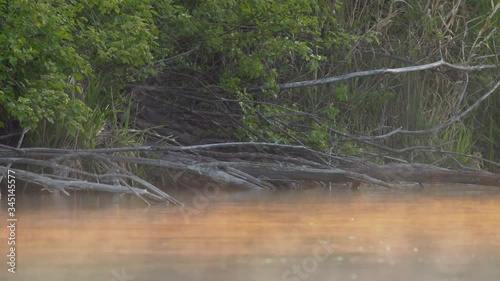 Mist over a small river during sunrise