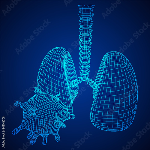 Corona Virus and Lungs with trachea bronchi internal organ human. Covid virus pulmonology medicine science concept. Wireframe low poly mesh vector illustration.