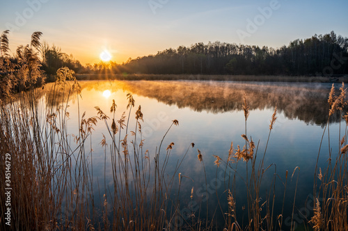 sunrise over the lake with tree reflection and beautiful fog