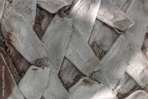 wood texture background