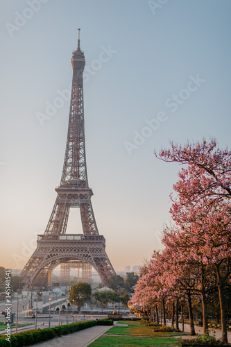 Fototapeta Naklejka Na Ścianę i Meble -  eiffel tower in paris pink blossom pink tree