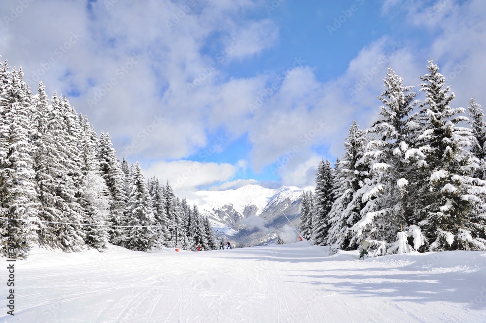 Winter scenery with empty ski slope between snowy trees 