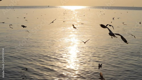 Landscape view of seagulls in sunset at Bang Pu Recreation Center is a seaside resort on the Bay