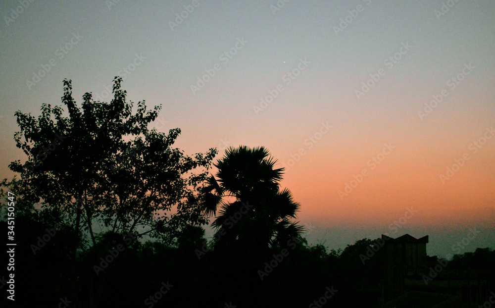a evening during sunset with tress in the foreground