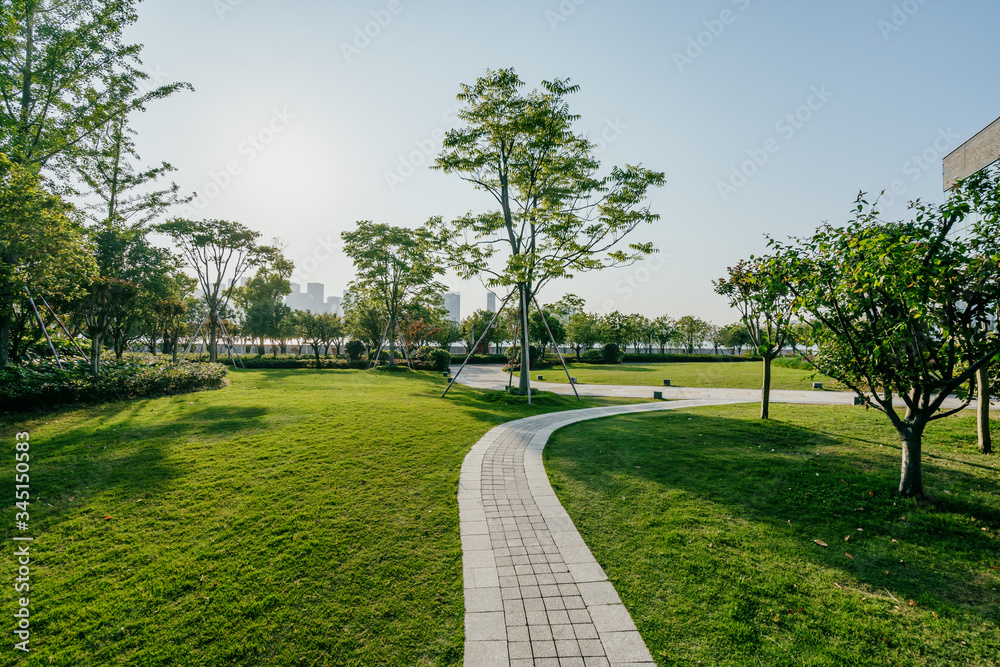 road in park