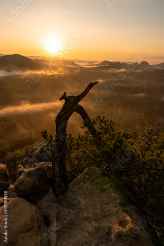 Sunrise in saxon switzerland, hätzschelstiege, saxony, germany