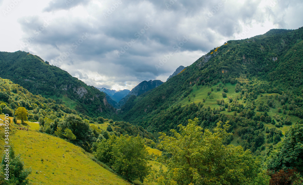 Paisaje natural de Cette-Eygun, un pequeño pueblo en el lado norte de los Pirineos franceses. Hermosas laderas verdes a finales de la primavera en un día nublado. Francia.