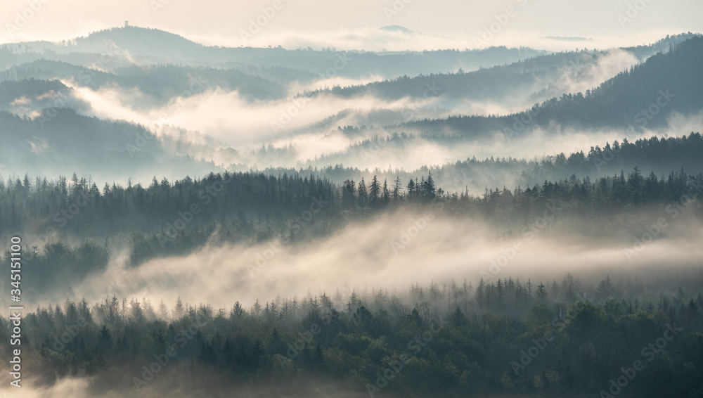 Fototapeta premium morning vibes in Saxon switzerland, saxony, germany