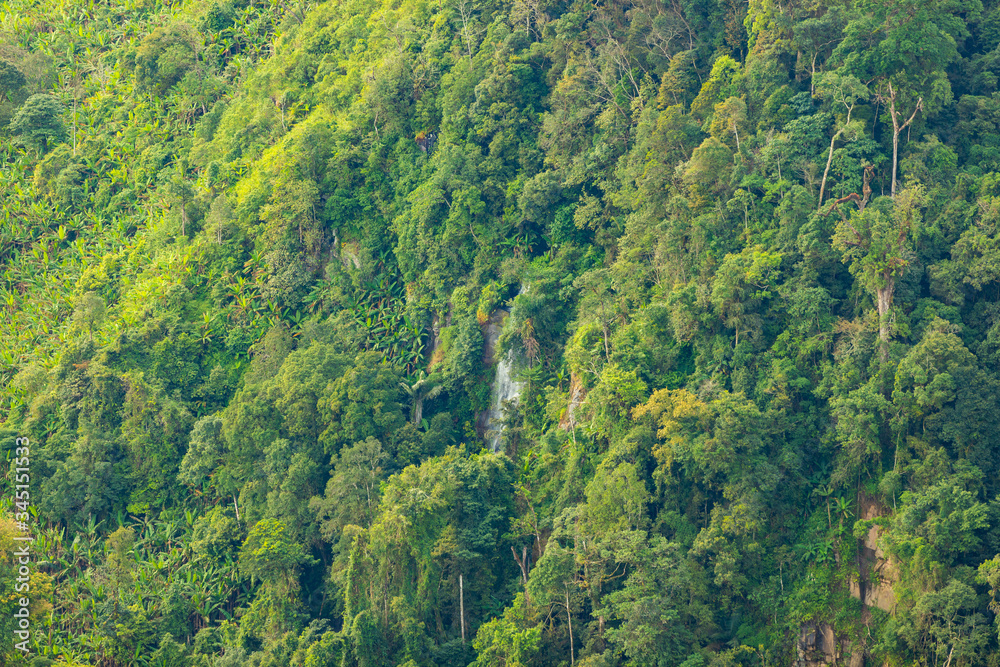 Landscape nature in Phu Thap Boek Thailand. Landscape nature in Phu Thap Boek Thailand.