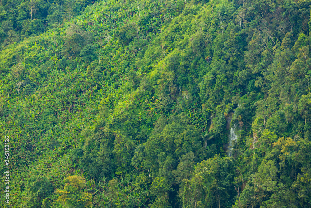 Landscape nature in Phu Thap Boek Thailand. Landscape nature in Phu Thap Boek Thailand.