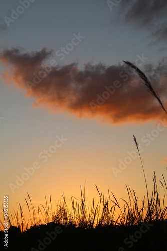 sunset over the field