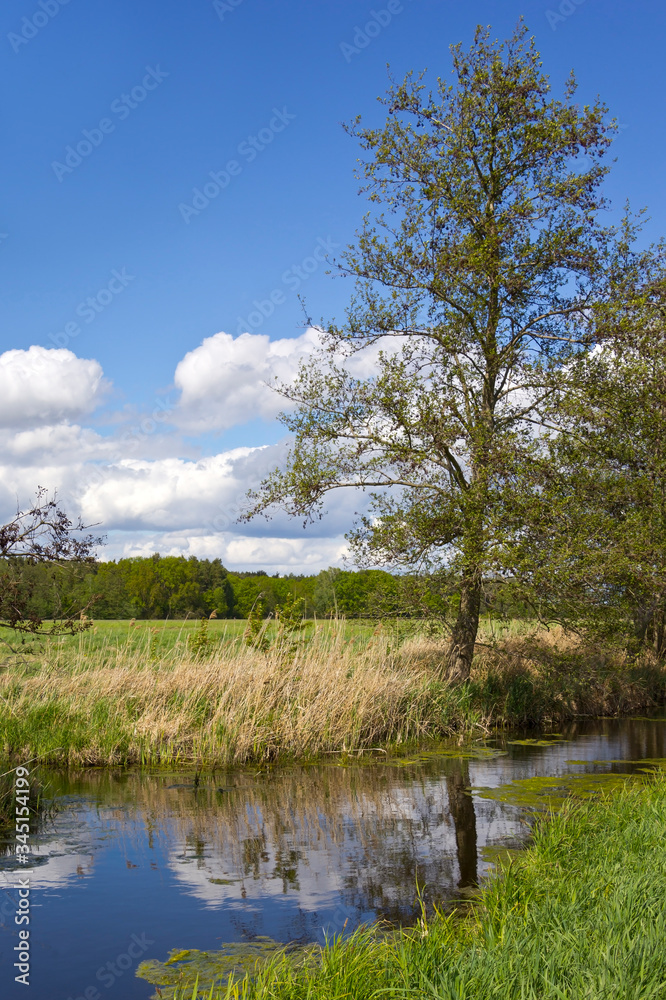 View of a landscape with drainage ditch and meadows in spring.