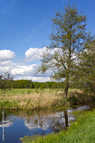 Obraz na płótnie View of a landscape with drainage ditch and meadows in spring. w salonie