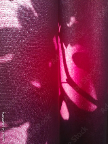 The shadow of the leaves on the pink curtains.
