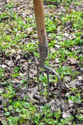 Pitchfork stuck in ground. Garden tools. Spring work in the garden. Preparation for cleaning old foliage.