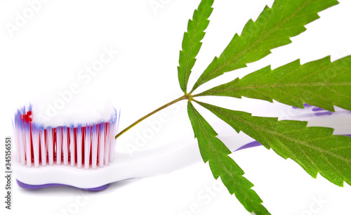 Cannabis CBD toothpaste with hemp leaves and toothbrush isolated on white background  healthcare concept. Copy space