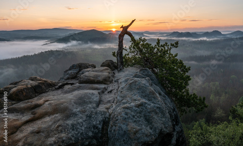 Sunrise in saxon switzerland, hätzschelstiege, saxony, germany © Bastien