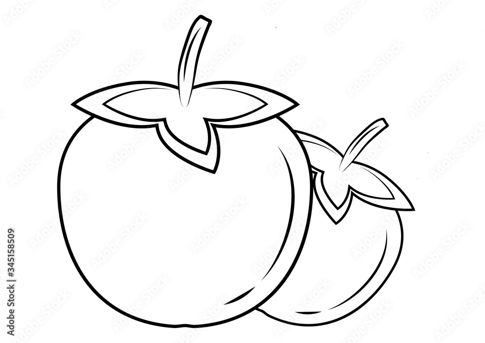 Persimmon outline vector icon. Thin line black kaki fruit icon. Persimmon symbol. A flat vector simple element of sharon. Vector Persimmon outline vector icon. Thin line black kaki fruit icon. Persimmon symbol. A flat vector simple element of sharon. Vector