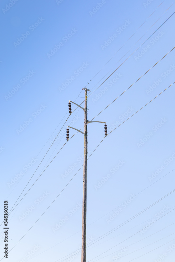 Single electrical power pole carrying lines suspended with strain insulators against a blue sky, copy space, vertical aspect Single electrical power pole carrying lines suspended with strain insulators against a blue sky, copy space, vertical aspect