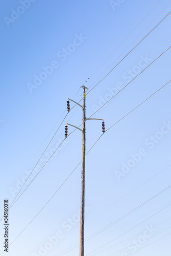 Single electrical power pole carrying lines suspended with strain insulators against a blue sky, copy space, vertical aspect