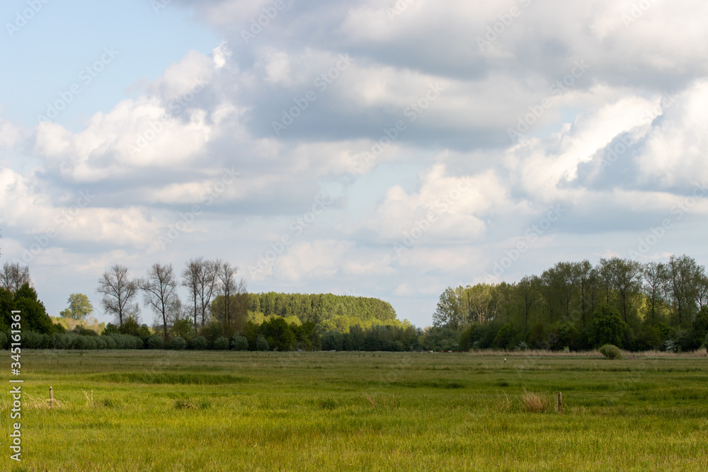 Wide shot of agricultural fields inside nature reserve with clouded skies Wide shot of agricultural fields inside nature reserve with clouded skies