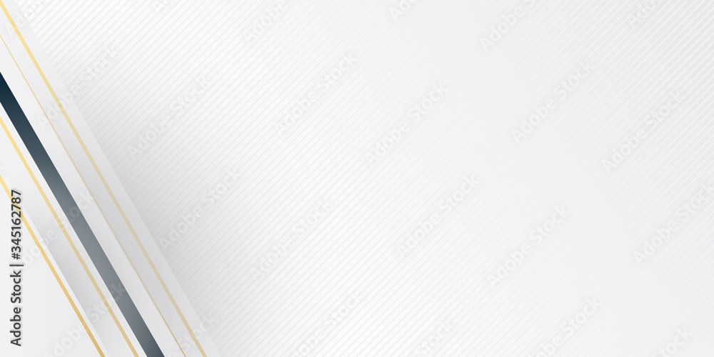 Obraz premium Grey silver abstract luxury background with bronze outlines. Modern abstract light silver background vector. Elegant concept design with golden line.