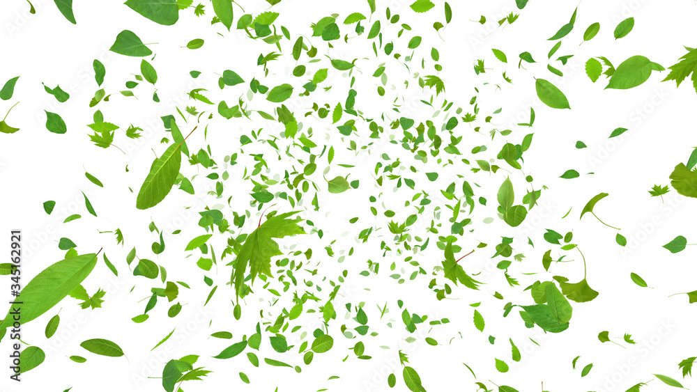 Green Flying leaves leaf 3D illustration background. Green Flying leaves leaf 3D illustration background.