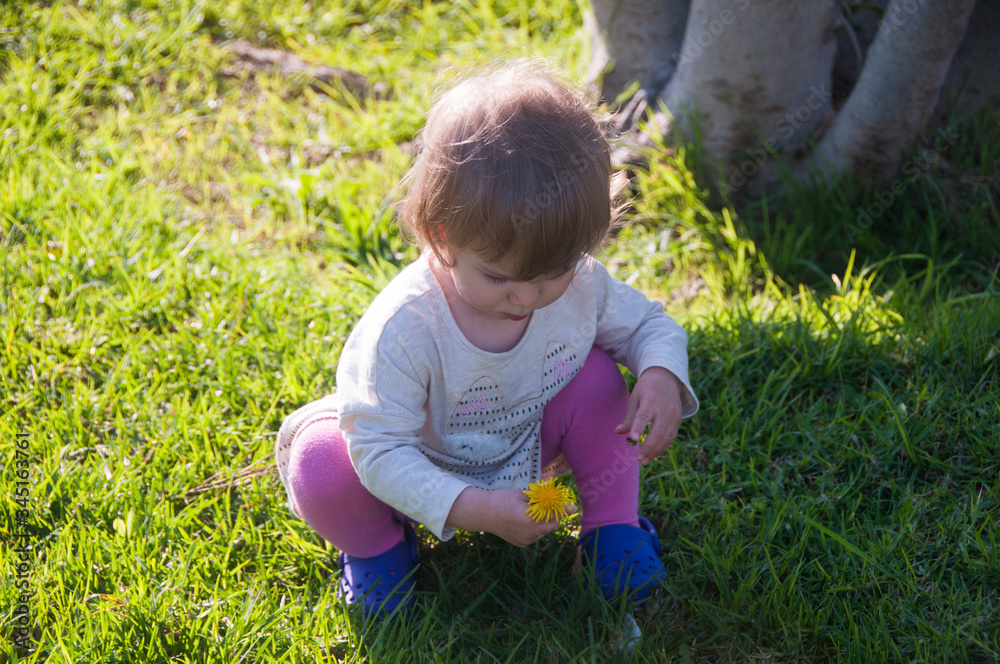 Toddler girl picking yellow flower on a green lawn in a park. Family outing. Toddler girl picking yellow flower on a green lawn in a park. Family outing.
