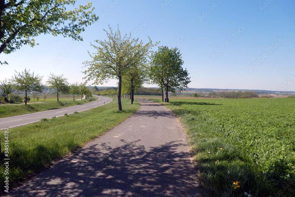 Strecke zwischen Obergreuth und Frensdorf Strecke zwischen Obergreuth und Frensdorf