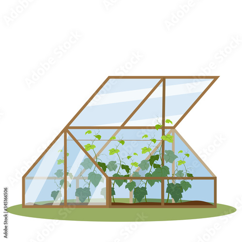 Vector illustration with a greenhouse. Plants growing inside glass greenhouse. Excellent for the design of postcards, posters, stickers.