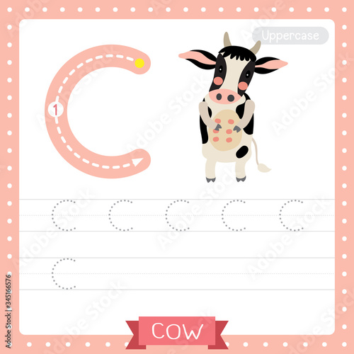 Letter C uppercase tracing practice worksheet. Happy Holstein Cow
