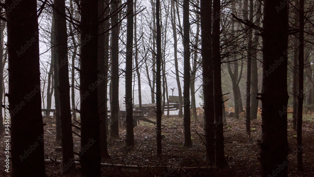 Obraz premium Verlorene Wagen