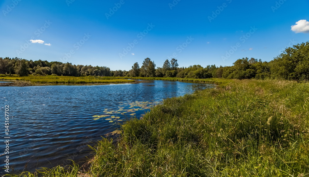 Summer landscape with river, trees, grass and blue sky