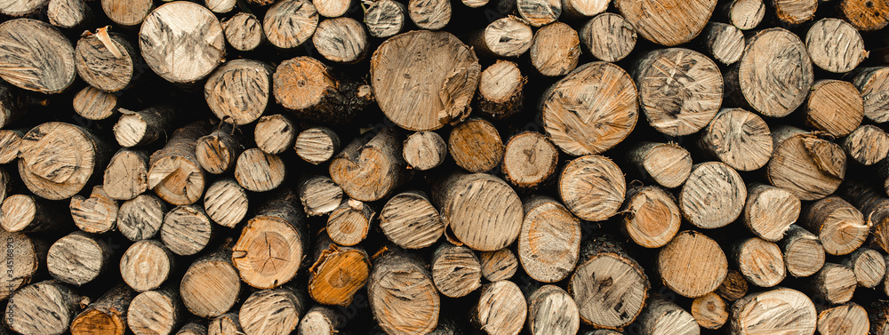 Close up of stack of logs. Deforestation problems in Europe. Oak and pine wood. Close up of stack of logs. Deforestation problems in Europe. Oak and pine wood.