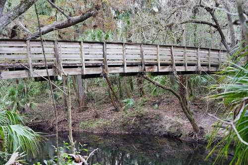 Hillsborough river state park at Tampa  Florida 